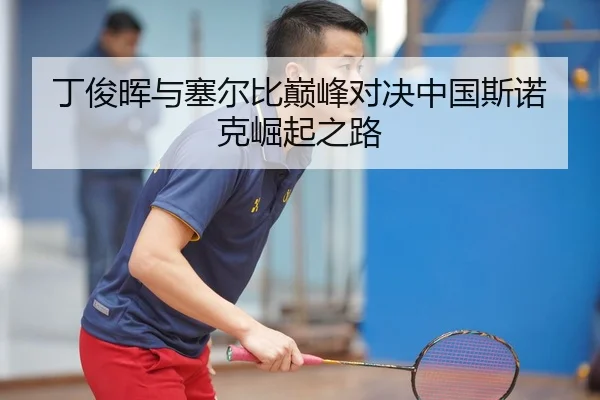 丁俊晖与塞尔比巅峰对决中国斯诺克崛起之路